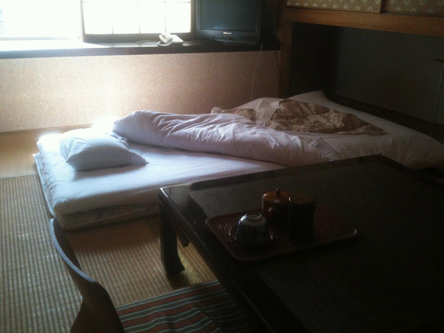 Kamesei Ryokan Chikuma Ngoại thất bức ảnh